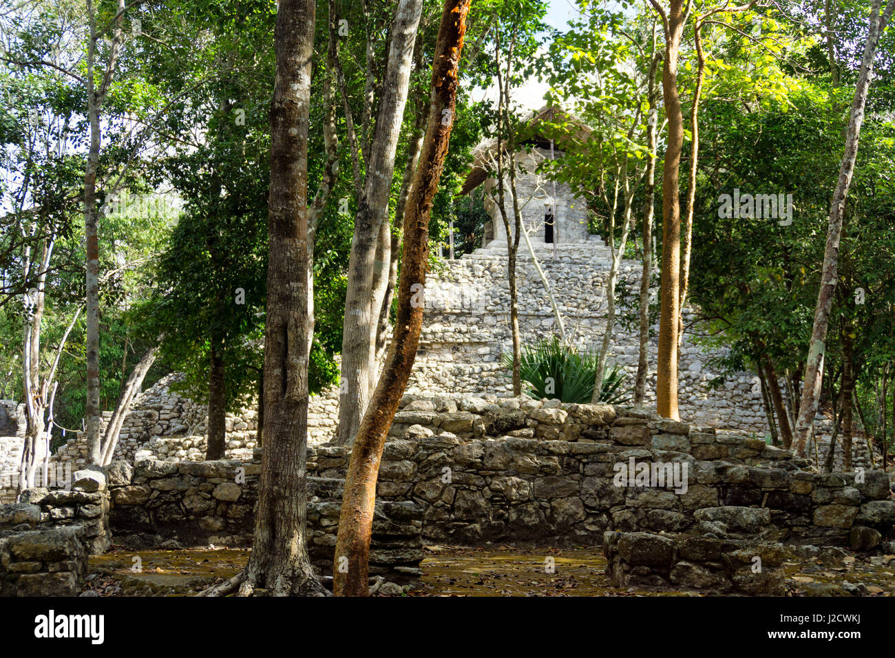 View of the Temple of the Paintings in the Mayan ruins of Coba, Mexico Stock Photo