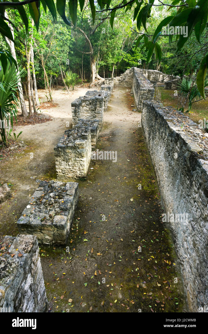Low wall in the jungle in the Mayan ruins of Coba, Mexico Stock Photo