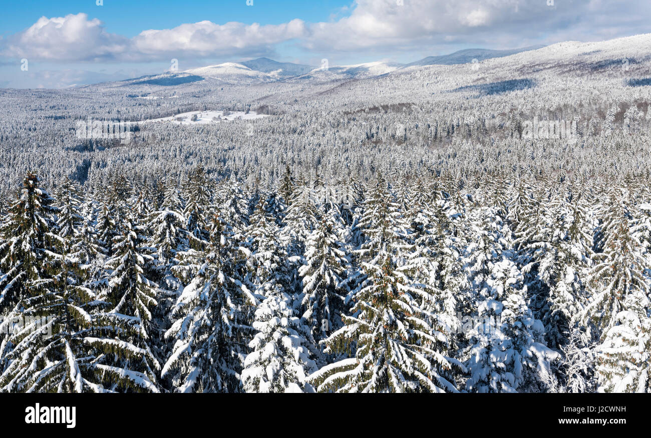 National Park Bavarian Forest (Bayerischer Wald) in the deep of winter. View towards mount Lusen, Mt. Rachel and Mt. Falkenstein. Bavaria, Germany (Large format sizes available) Stock Photo