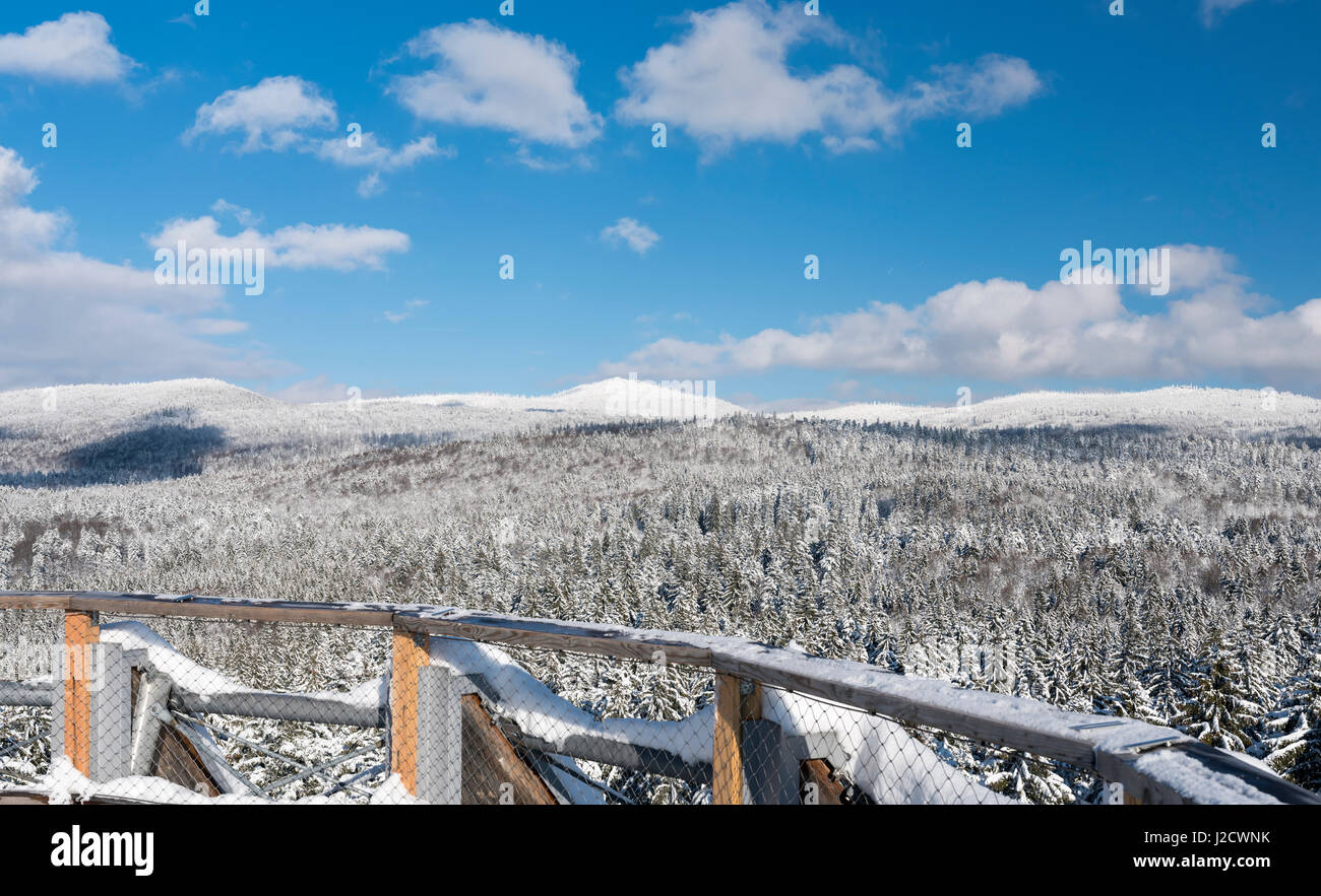 View of the mountains of the National Park Bavarian Forest (Bayerischer Wald) in the deep of winter. Seen from the viewing platform of the Canopy Walkway in Neuschoenau. (Large format sizes available) Stock Photo