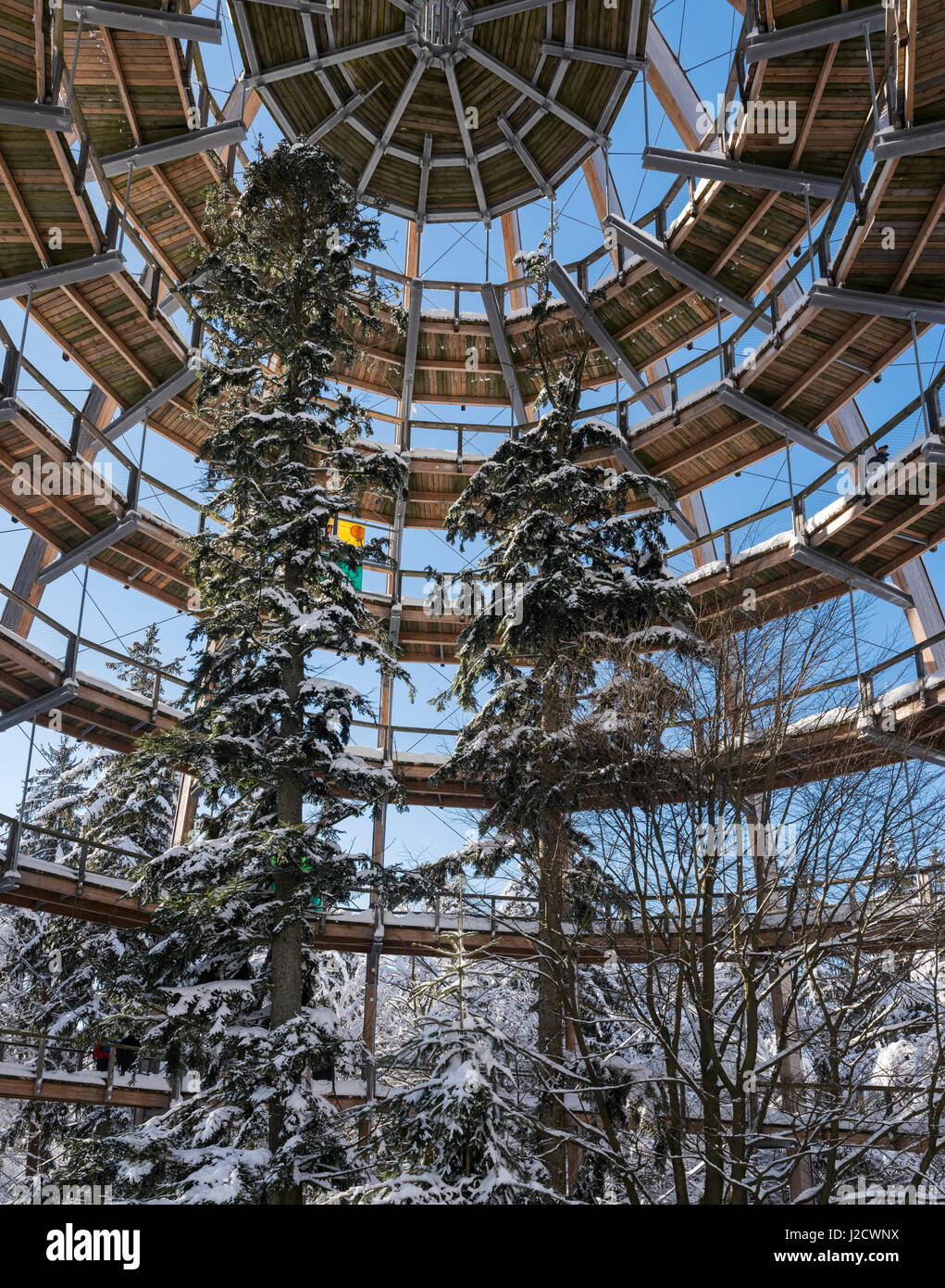 Look out of the Canopy Walkway of the visitor center of the National Park Bavarian Forest (Bayerischer Wald) in Neuschoenau in the deep of winter. Bavaria, Germany (Large format sizes available) Stock Photo