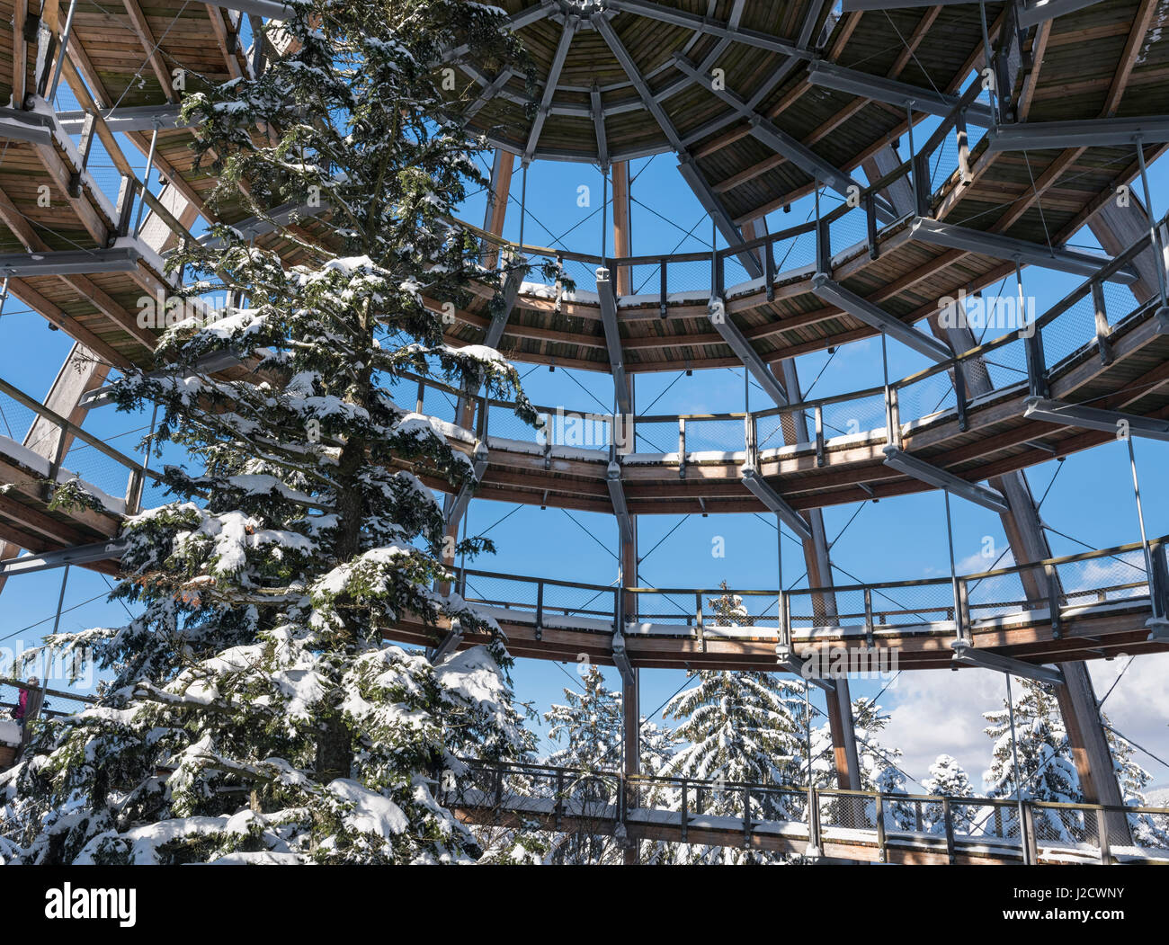 Look out of the Canopy Walkway of the visitor center of the National Park Bavarian Forest (Bayerischer Wald) in Neuschoenau in the deep of winter. Bavaria, Germany (Large format sizes available) Stock Photo
