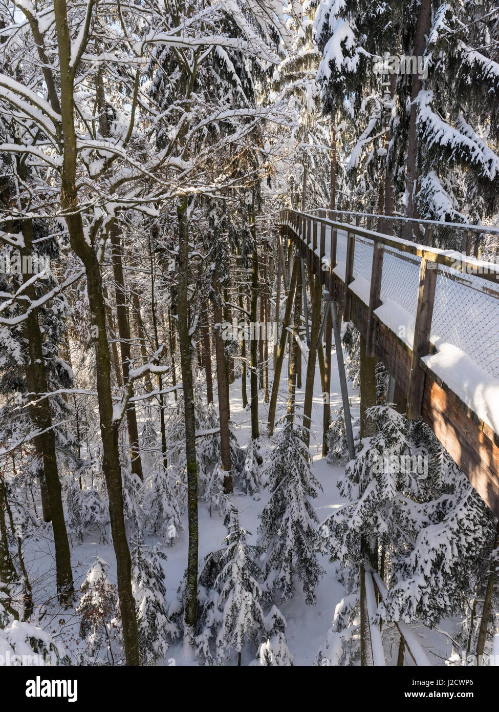 The Canopy Walkway (Baumwipfelpfad) of the visitor center of the National Park Bavarian Forest (Bayerischer Wald) in Neuschoenau in the deep of winter. Bavaria, Germany (Large format sizes available) Stock Photo