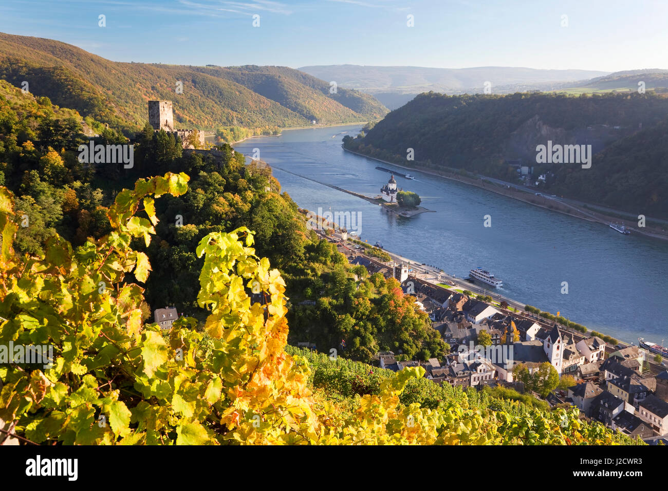 Germany, Rhineland-Palatinate, Rheinland-Pfalz KaubPfalz im Rhein and Gutenfels castle, Rhine valley Hillesheim Vineyard Stock Photo