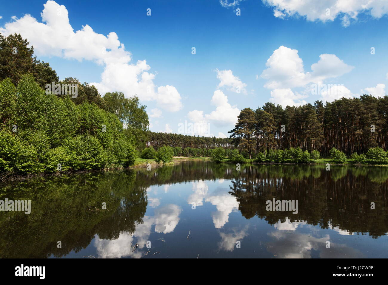 A Polish lake and trees Stock Photo