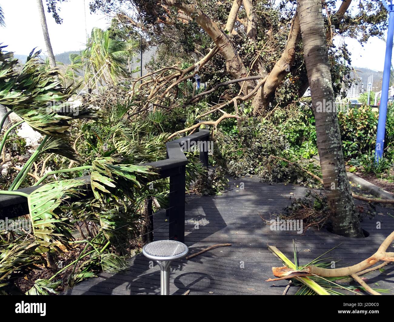 Cyclone damage on a boardwalk Stock Photo