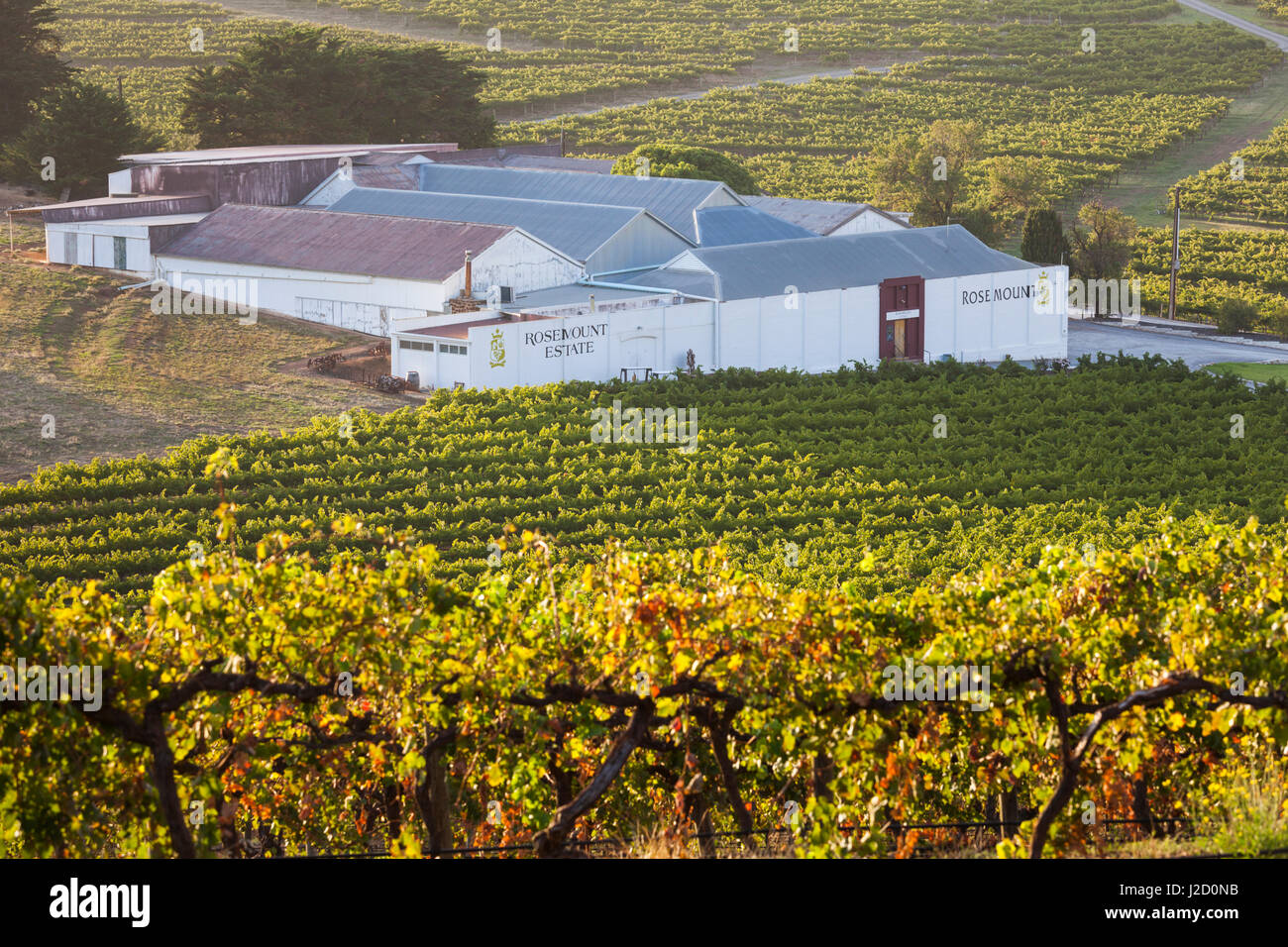 Rosemount wine hi-res stock photography and images - Alamy