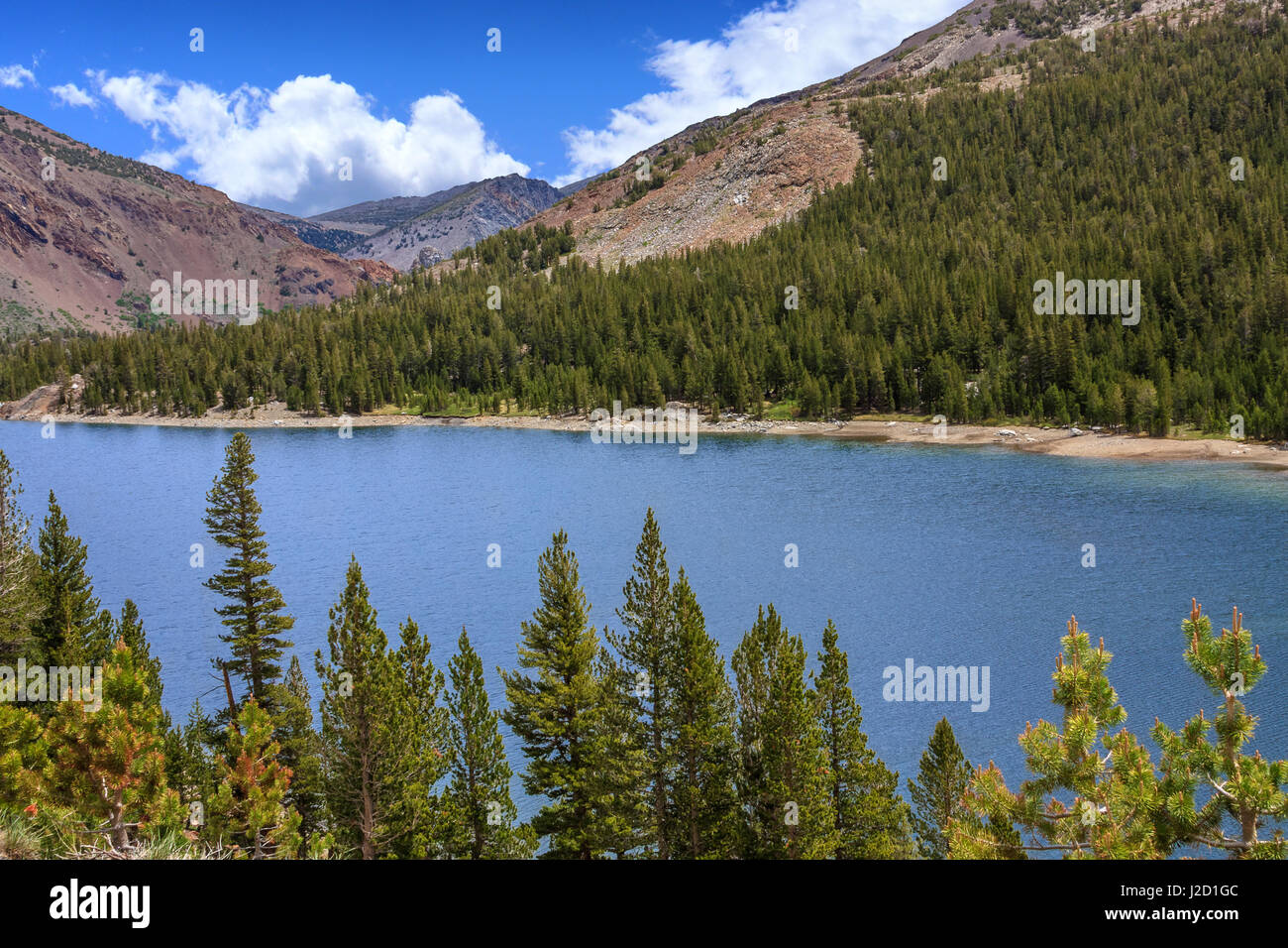 A view of a mountain lake with pine trees and clouds Stock Photo - Alamy