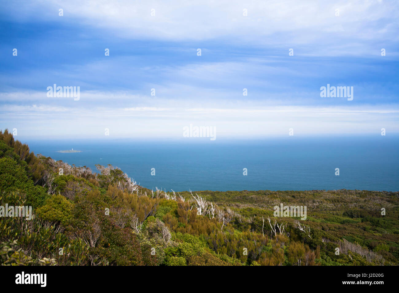 Bluff, just south of Invercargill, is the Southernmost town in New