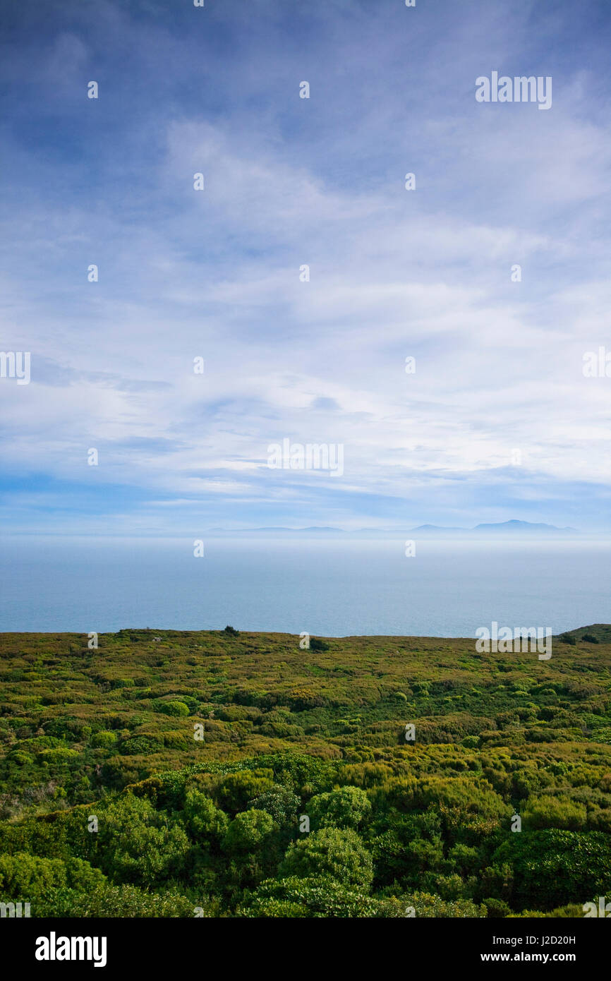 Bluff, just south of Invercargill, is the Southernmost town in New