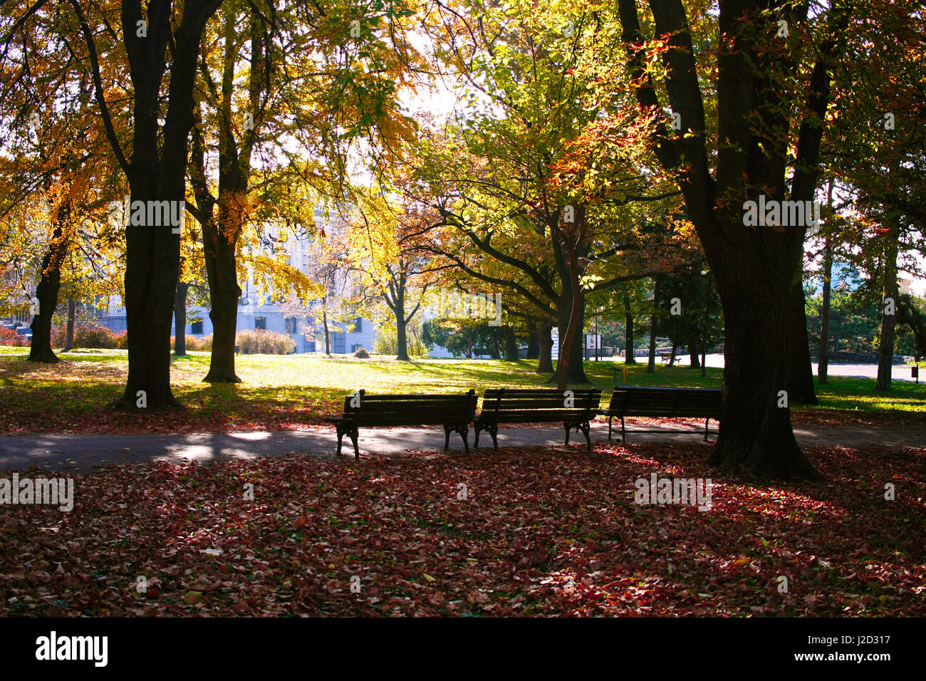 City park with benches in late autumn in medieval citadel of Belgrade, Serbia. Stock Photo
