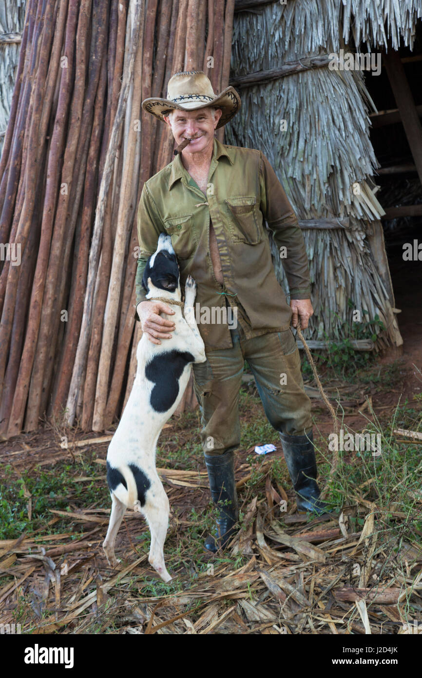 Cuba, Vinales, tobacco farmer and dog at straw hut. (Editorial Use Only) Stock Photo