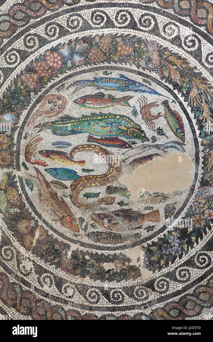 Sea fish and crustaceans depicted in the Roman mosaic dated from the 3rd century AD displayed in the Museo de Santa Cruz (Santa Cruz Museum) in Toledo, Spain. Stock Photo