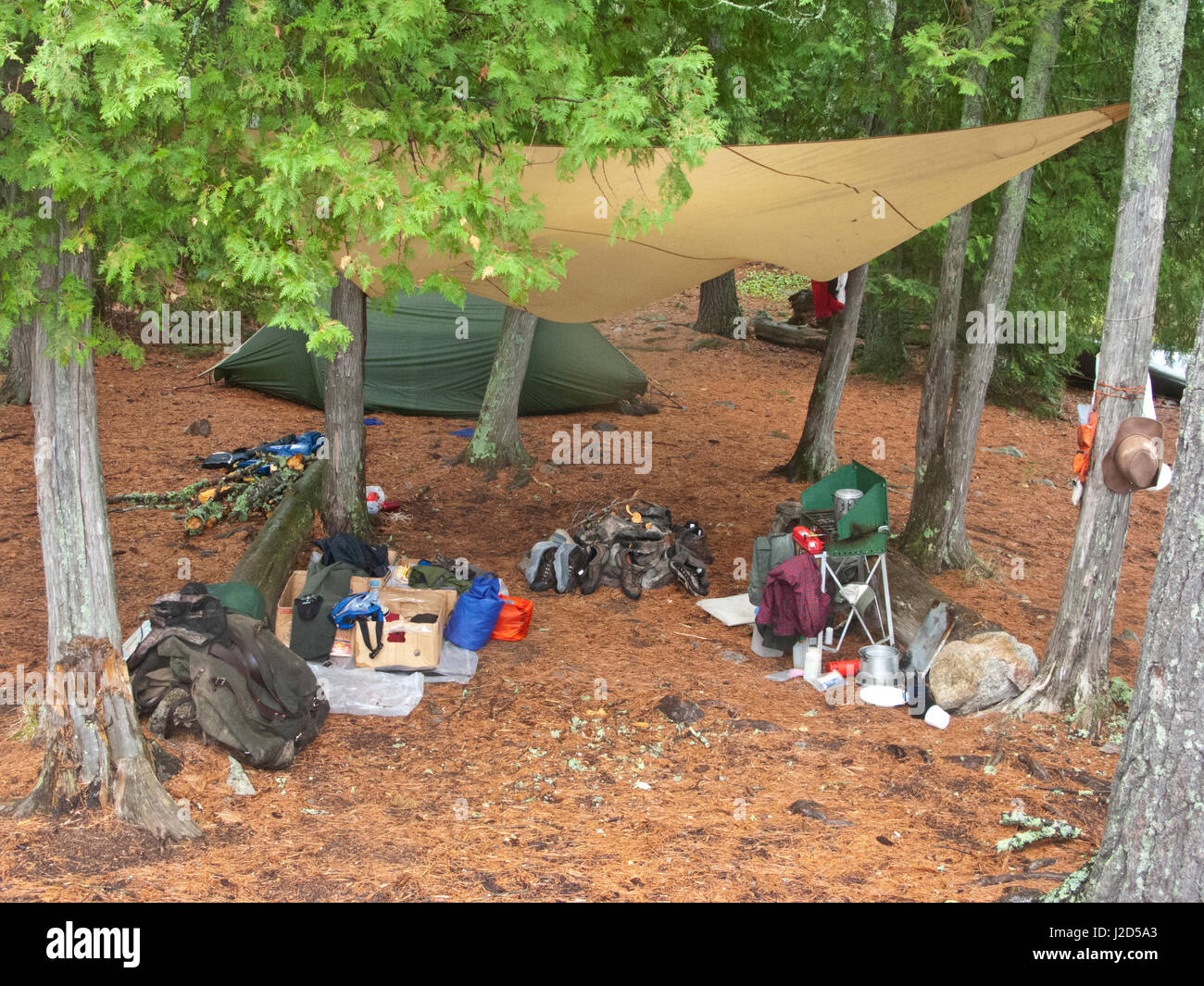 Canada, Ontario, Quetico Park, Basswood Lake Campsite. Wilderness campsite equipment protected by fly Stock Photo