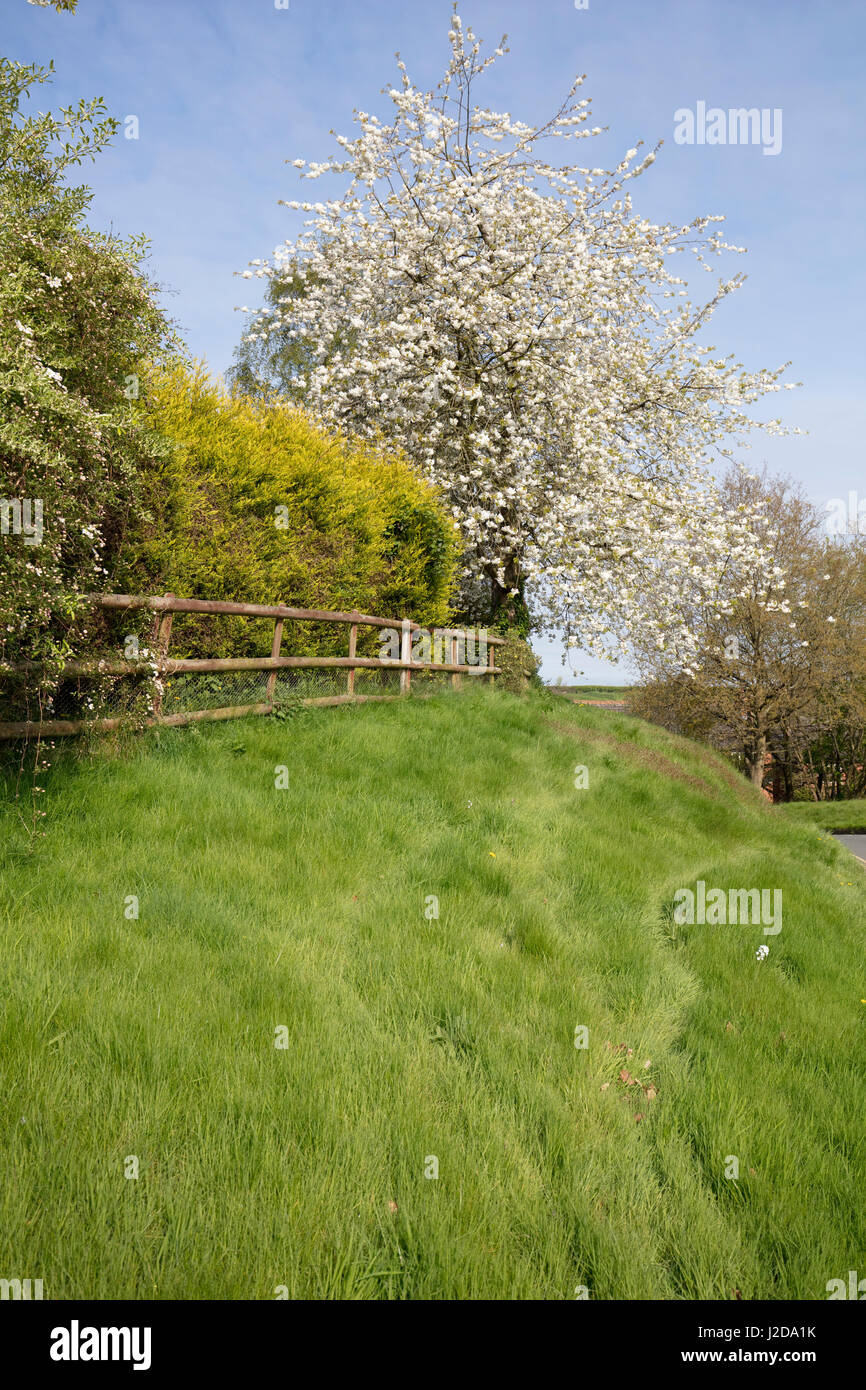 STANLEY LANE JUNCTION WITH BRAMBLE RIDGE IN BRIDGNORTH, SHROPSHIRE. SPRING BLOSSOM Stock Photo