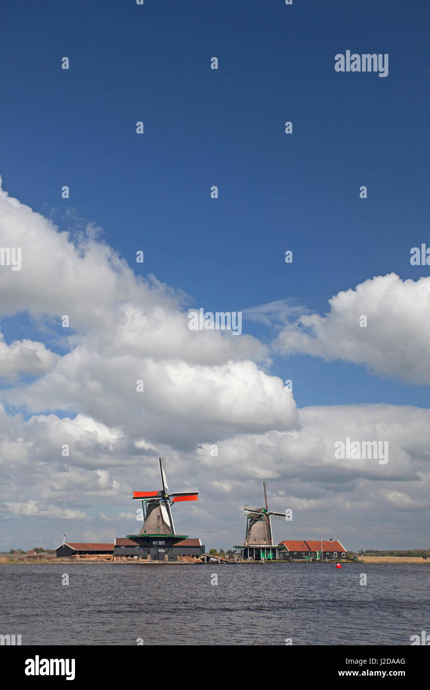 Windmills on the Zaanse schans with the former river de Zaan in the front Stock Photo