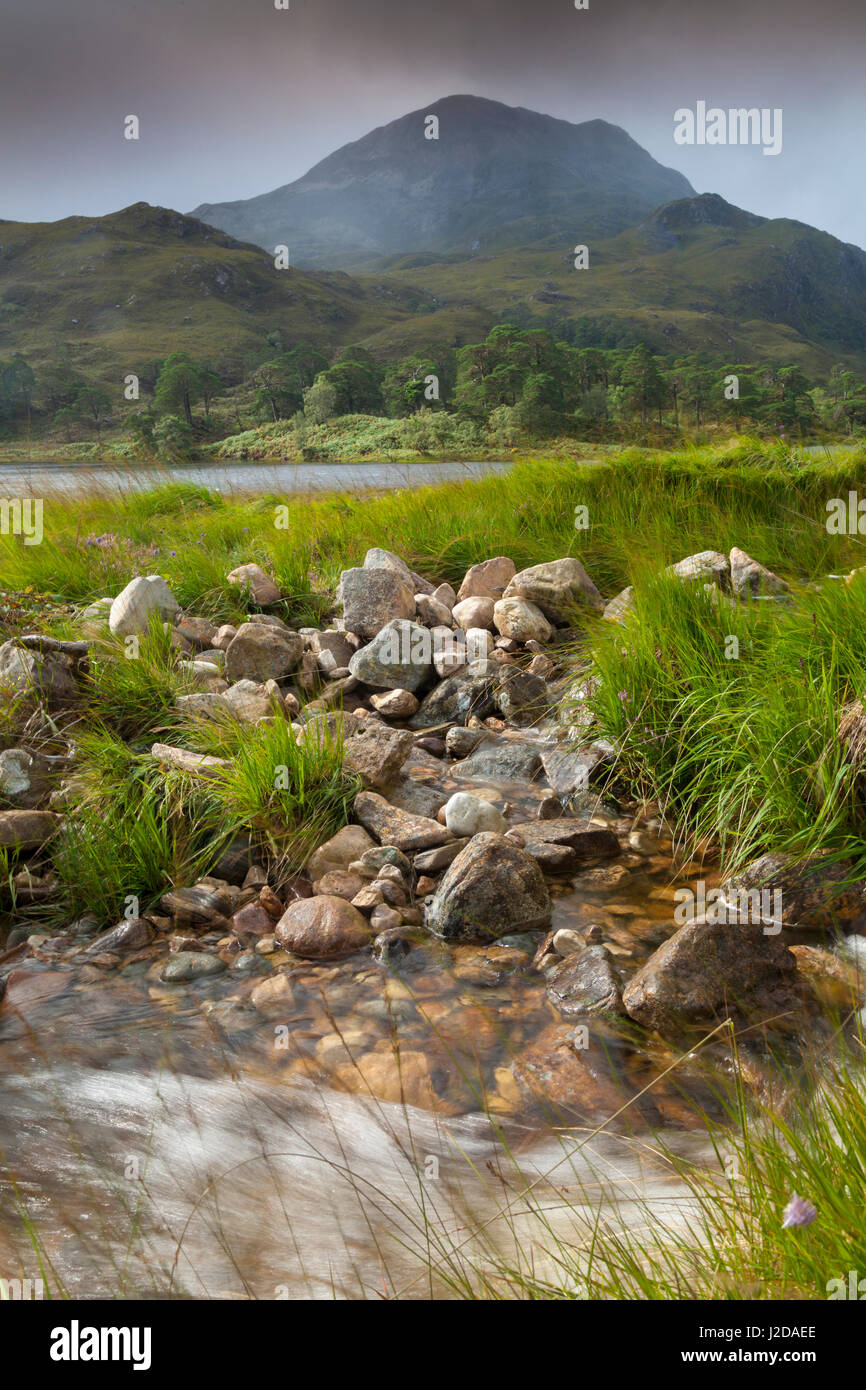 a fast-flowing river winds its way through the bog Stock Photo