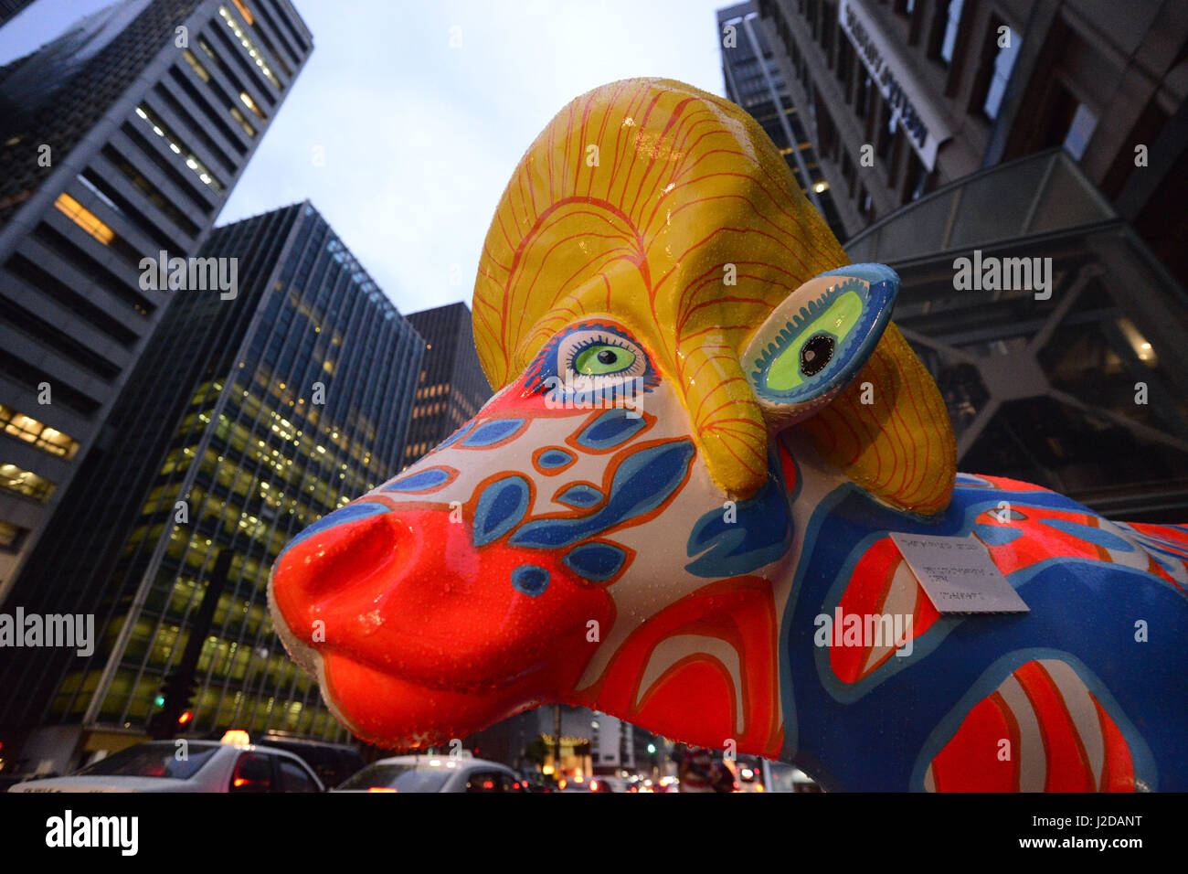 Pascal Cow Pascal knapp cow hi-res stock photography and images - Alamy
