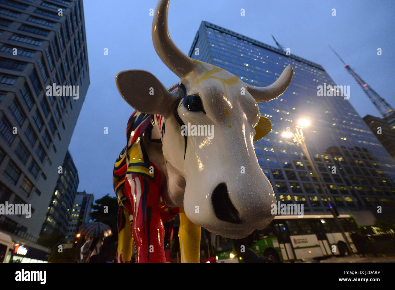 Pascal Cow Pascal knapp cow hi-res stock photography and images - Alamy