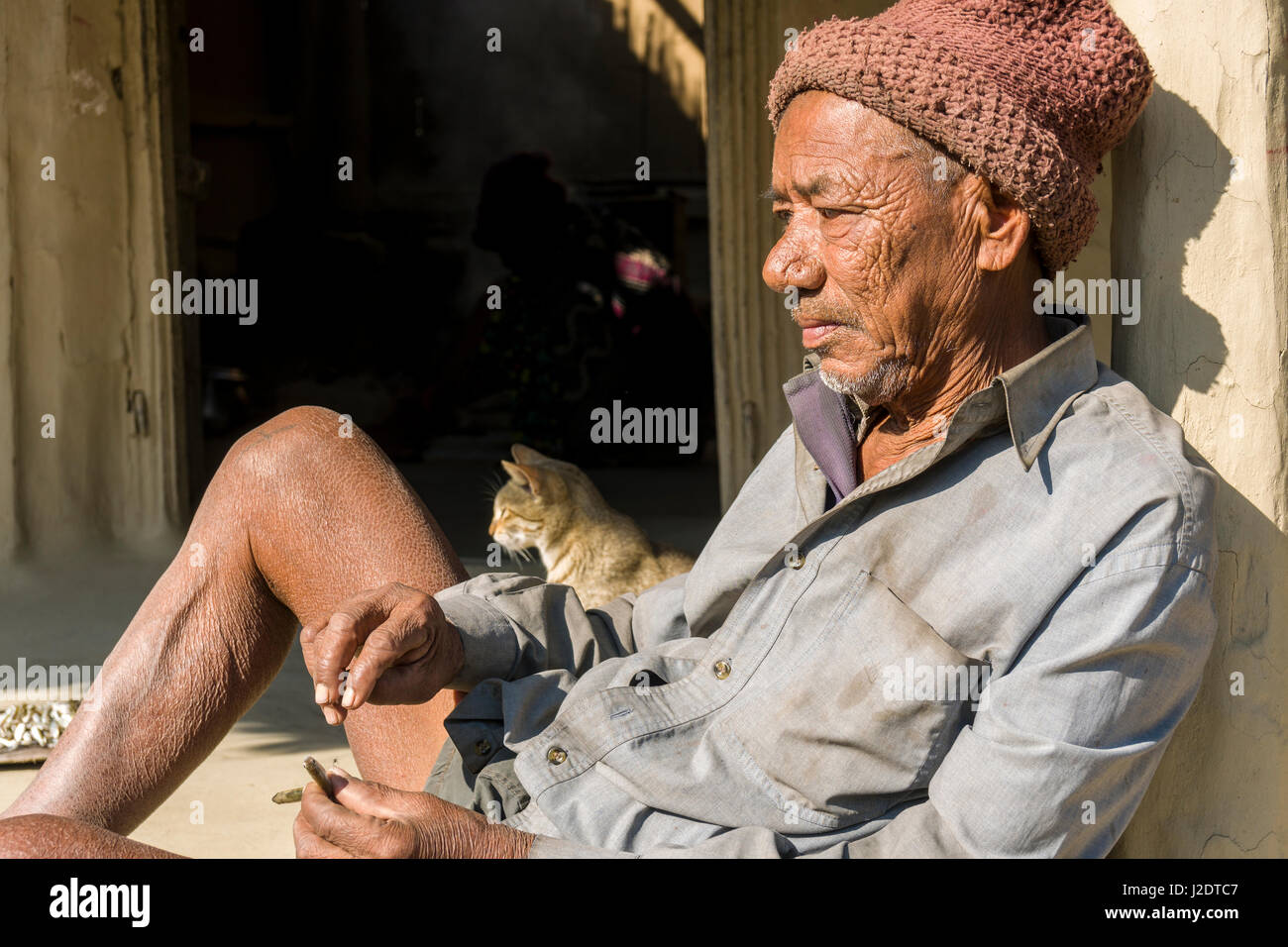 Old man of the jungle hi-res stock photography and images - Alamy
