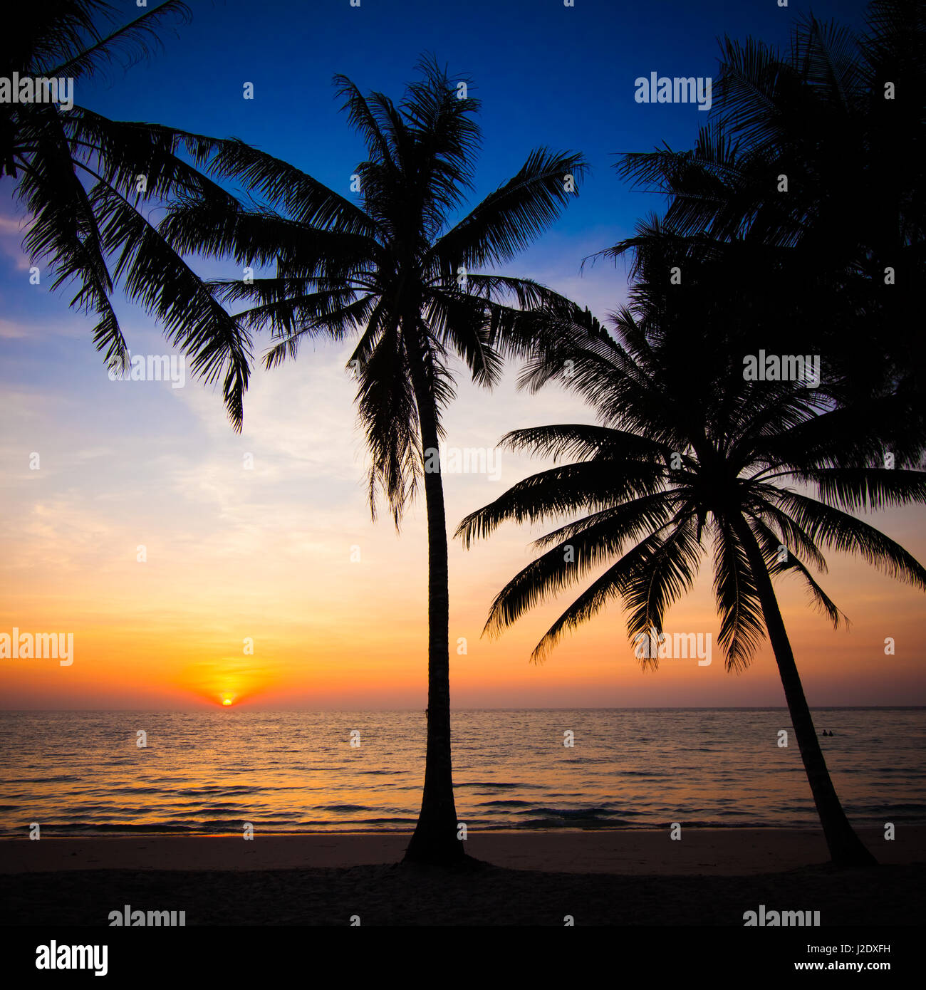 Beautiful sunset at tropical beach with palm trees Stock Photo - Alamy