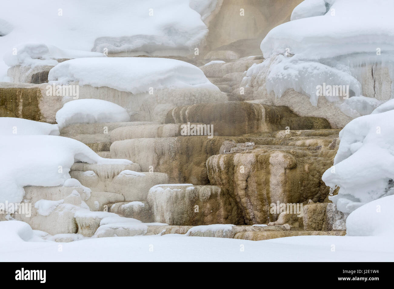 Mammoth Hot Springs in winter, famous travertine terraces, Calcareous sinter, UNESCO World Heritage, Yellowstone NP, Wyoming, USA. Stock Photo