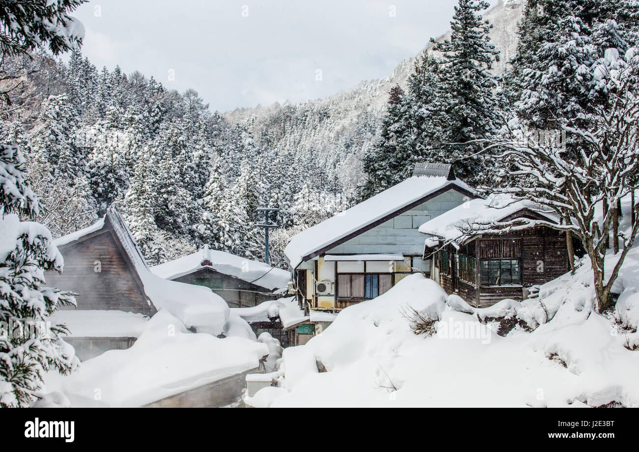 Japanese village in winter. Landscape. Japan. Nagano. Jigokudani Monkey Park. Stock Photo