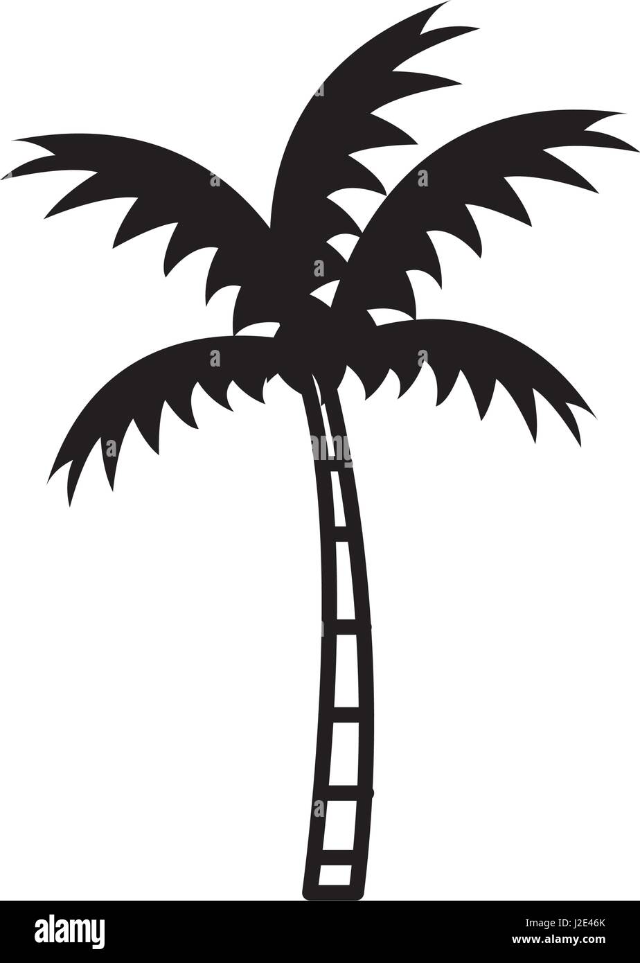 Beach palm tree Stock Vector Image & Art - Alamy