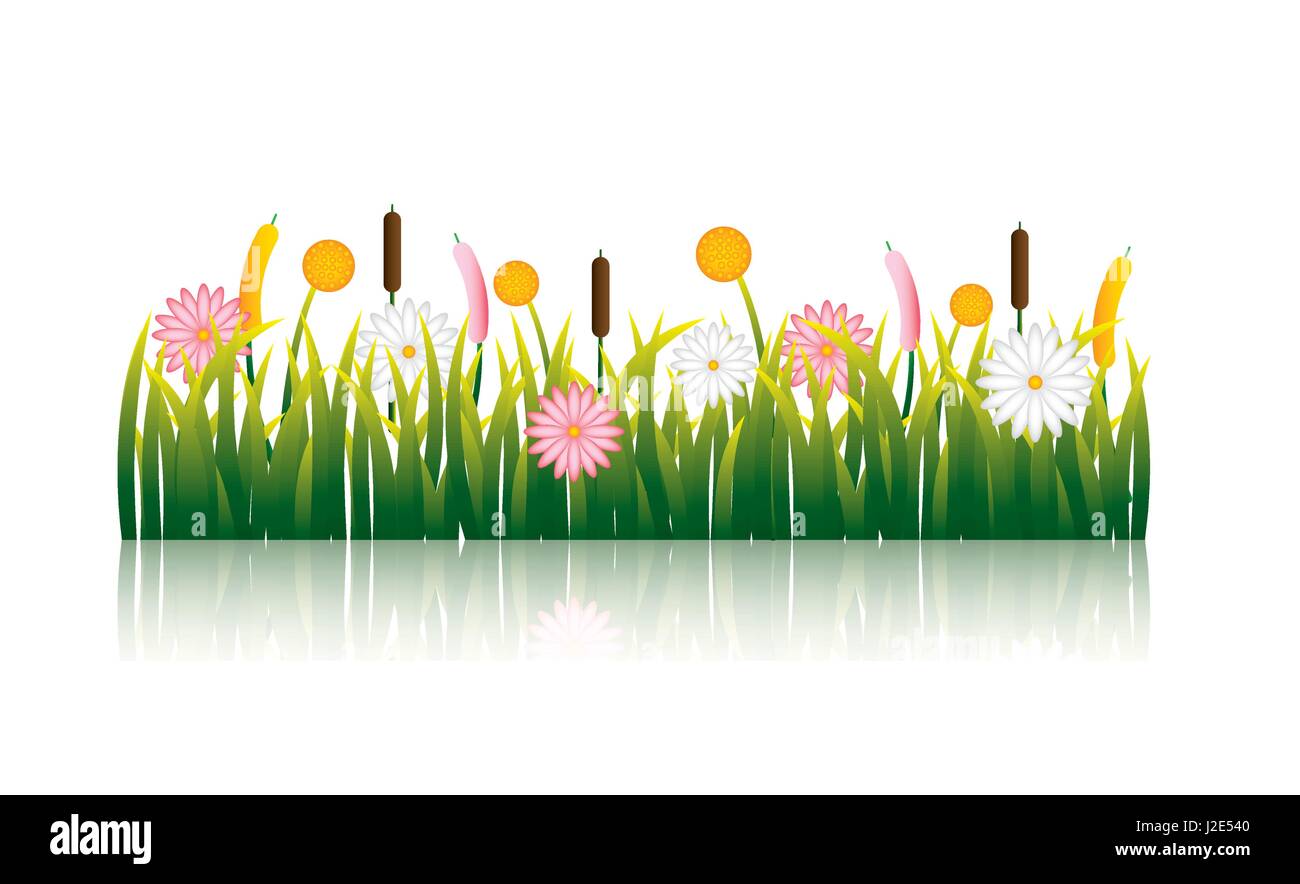 garden flowers and grass field Stock Vector Image & Art - Alamy