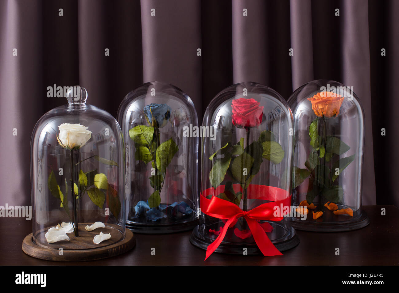 Lighted Roses Under Glass Beautiful roses under glass bulb on table in room Stock Photo - Alamy
