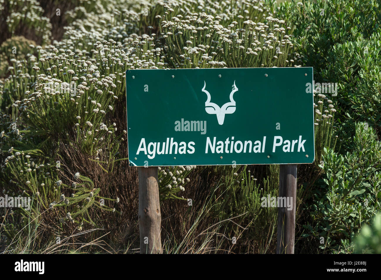 Agulhas National Park, sign with Kudu, Province Western Cape, South Africa Stock Photo