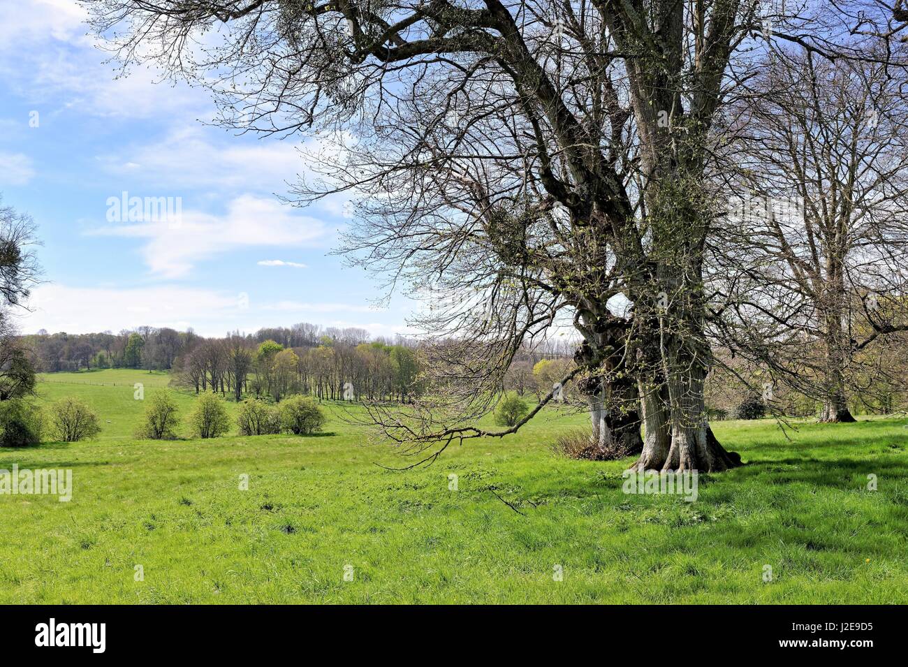 Countryside at Hinton Ampner Hampshire England UK Stock Photo Alamy