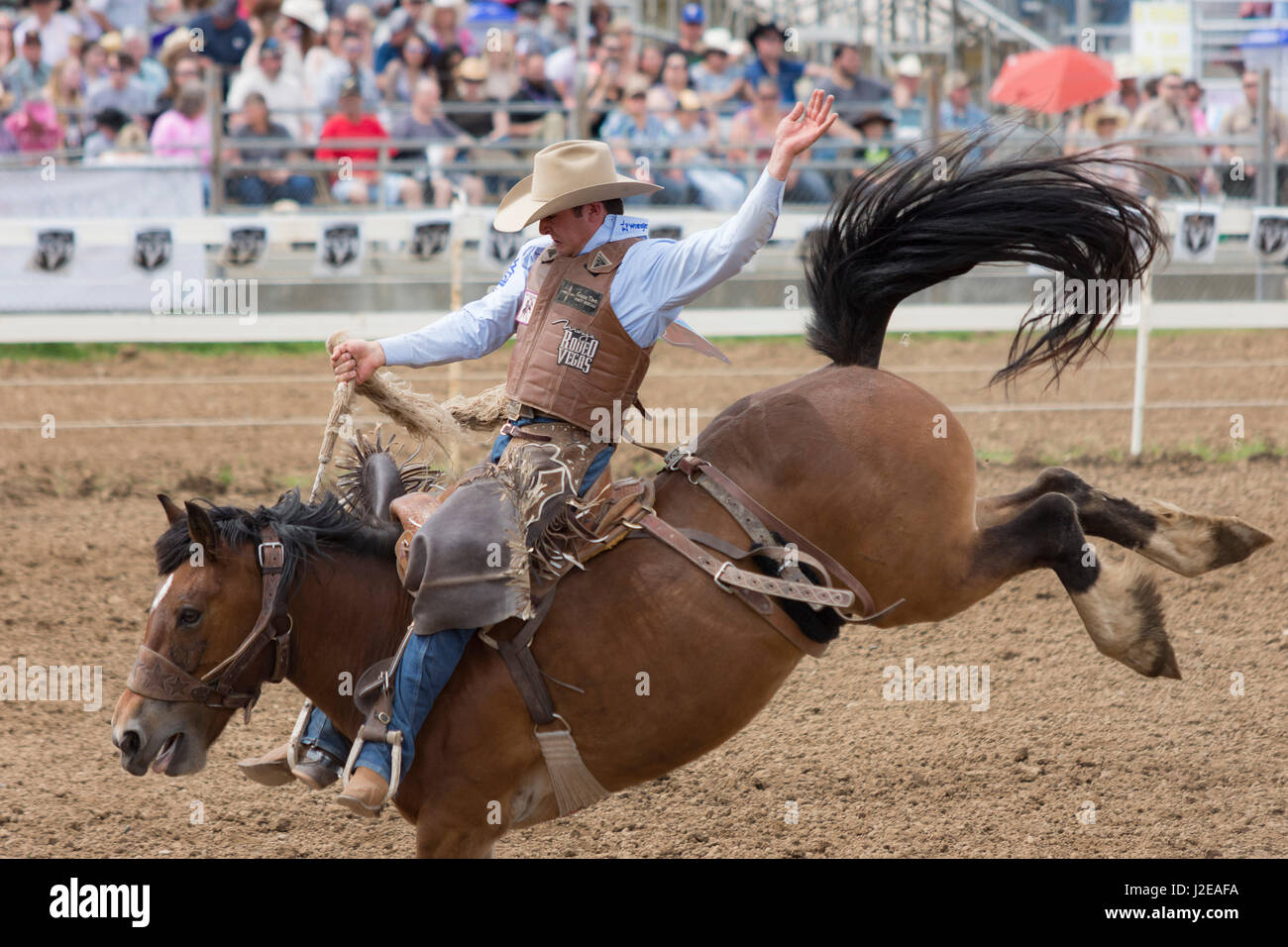 Red bluff california hi-res stock photography and images - Alamy