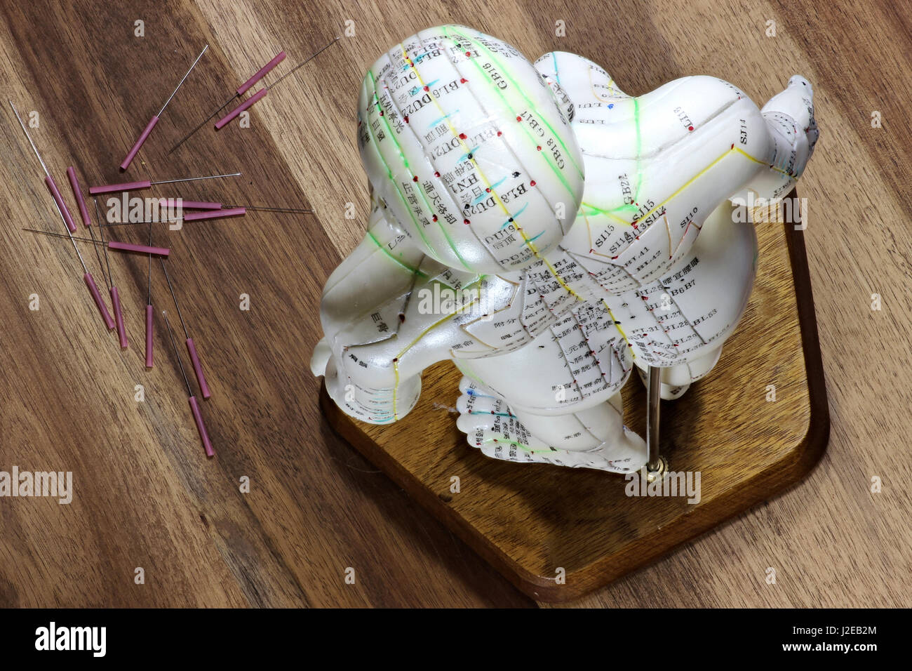 female acupuncture model on desktop Stock Photo Alamy