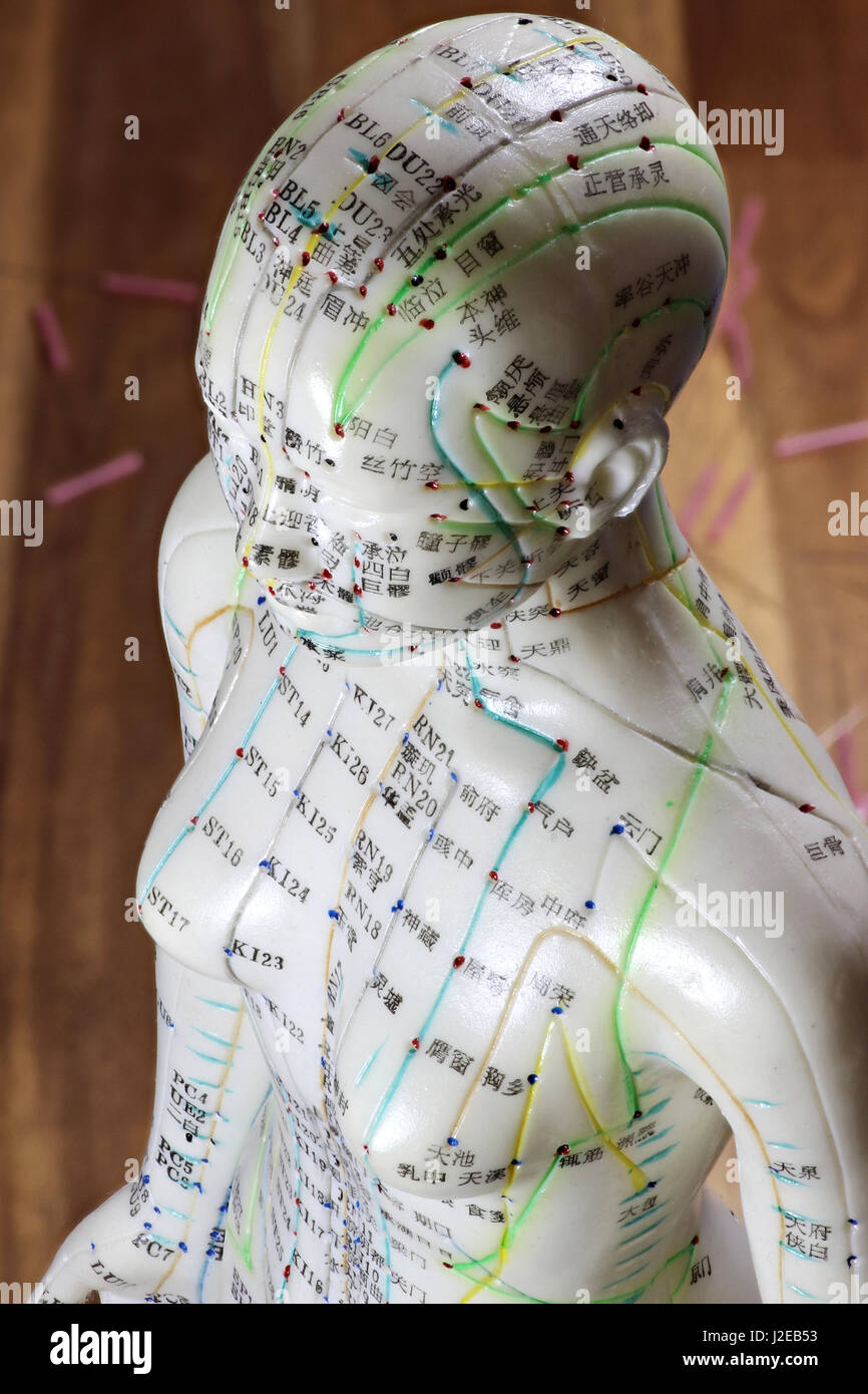 Acupuncture Figure Stock Photos & Acupuncture Figure Stock Images Alamy