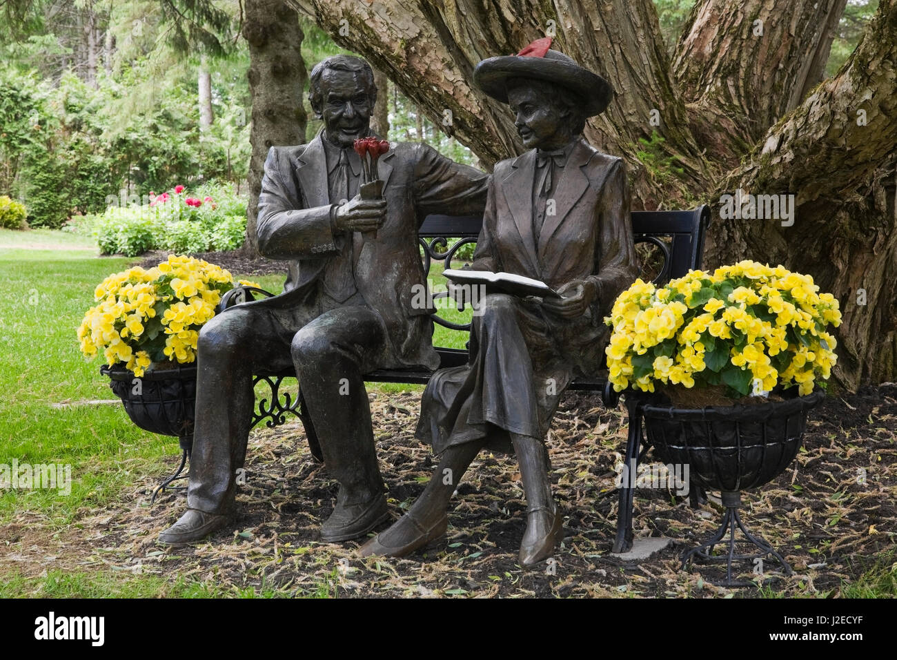 Bronze metal statue of a elderly couple seated on a bench beneath a Salix - Willow Tree bordered by yellow Begonias in backyard garden in summer Stock Photo