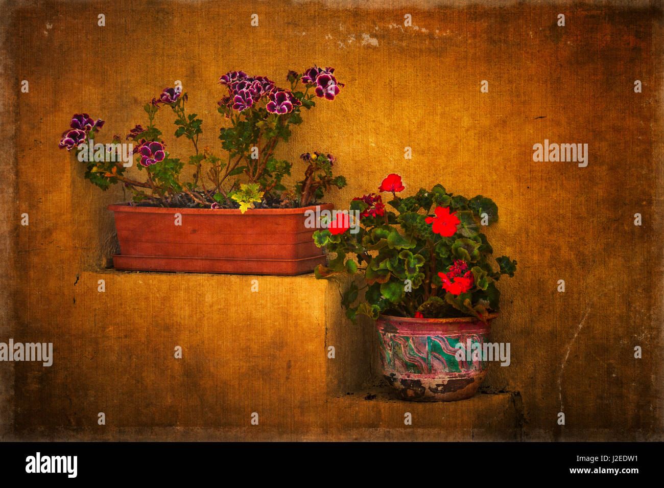 Stepped flower boxes with texture Stock Photo