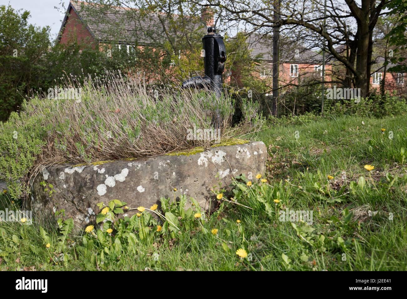 IRON HAND PUMP AND STONE HORSE TROUGH AT STANLEY LANE BRIDGNORTH, SHROPSHIRE Stock Photo