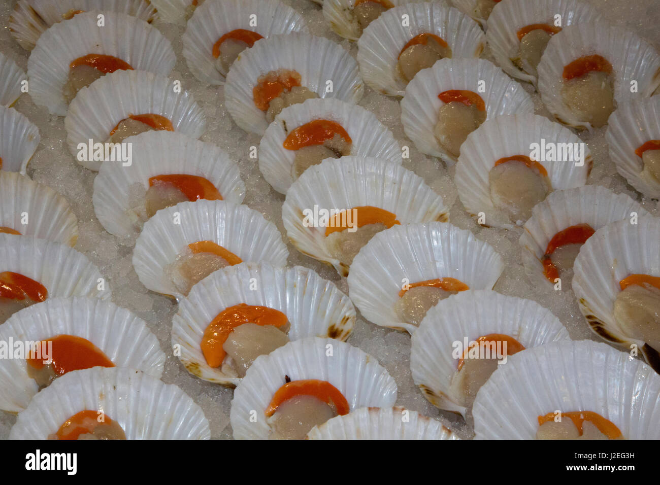 Scallops Fish and Vegetable Market Venice, Italy Stock Photo Alamy