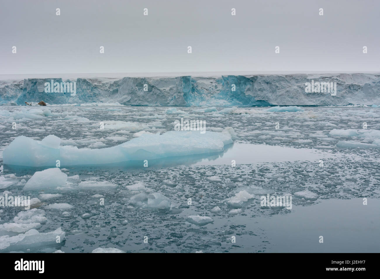 Norway. Svalbard. Nordaustlandet Island. Brasvelbreen. Austfonna Ice ...