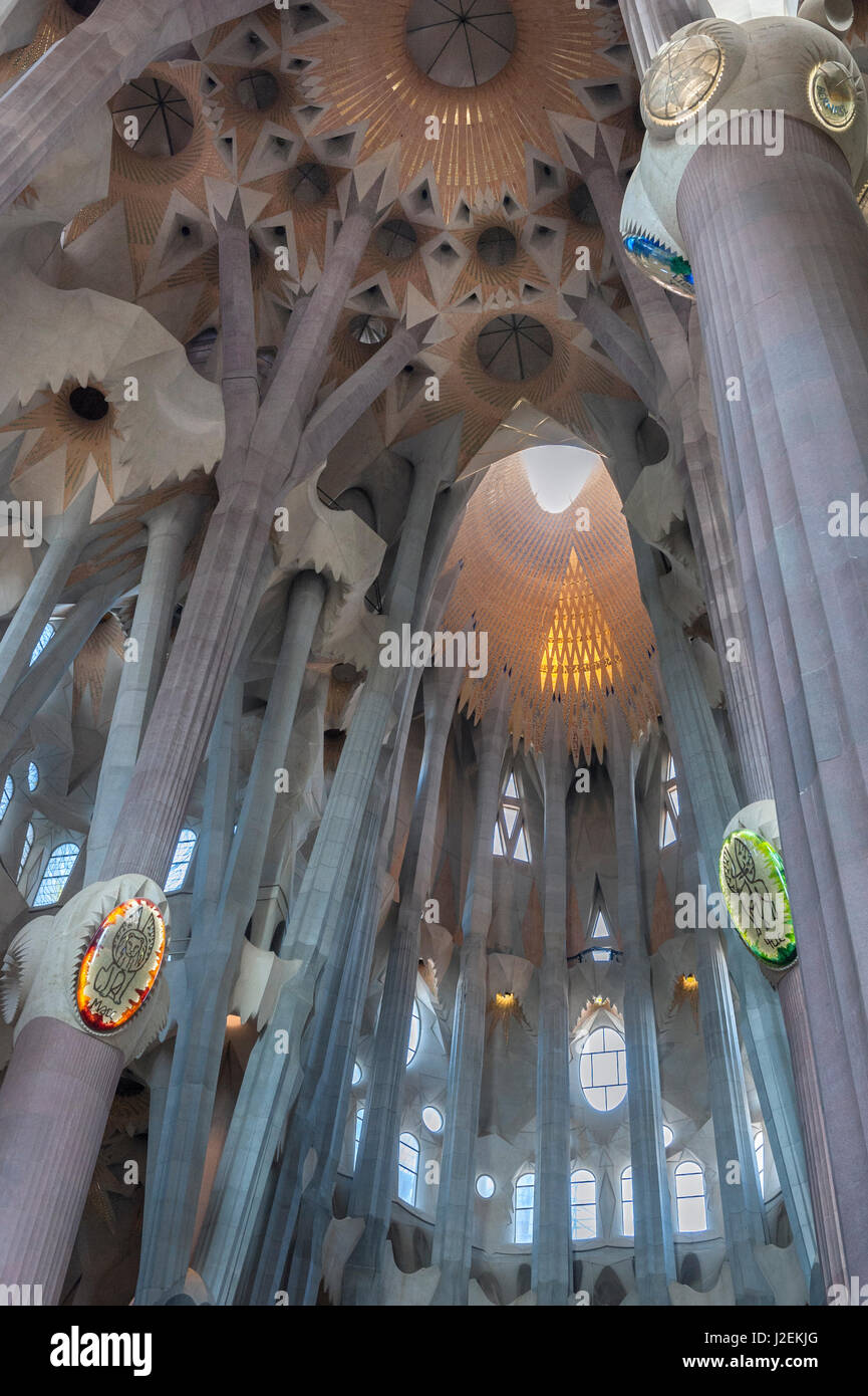 Europe, Spain, Barcelona, Sagrada Familia, interior Stock Photo - Alamy