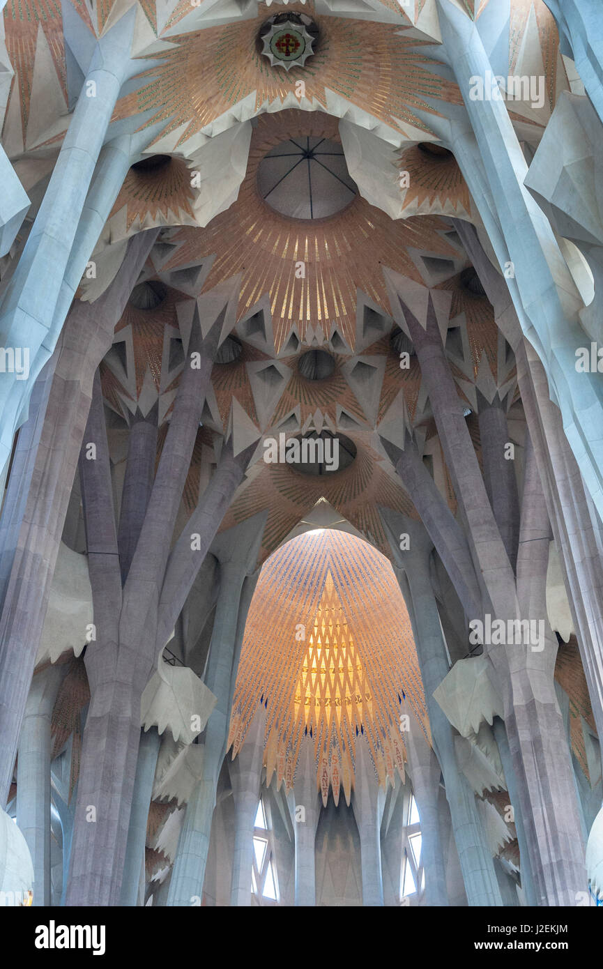 Europe, Spain, Barcelona, Sagrada Familia, interior Stock Photo - Alamy