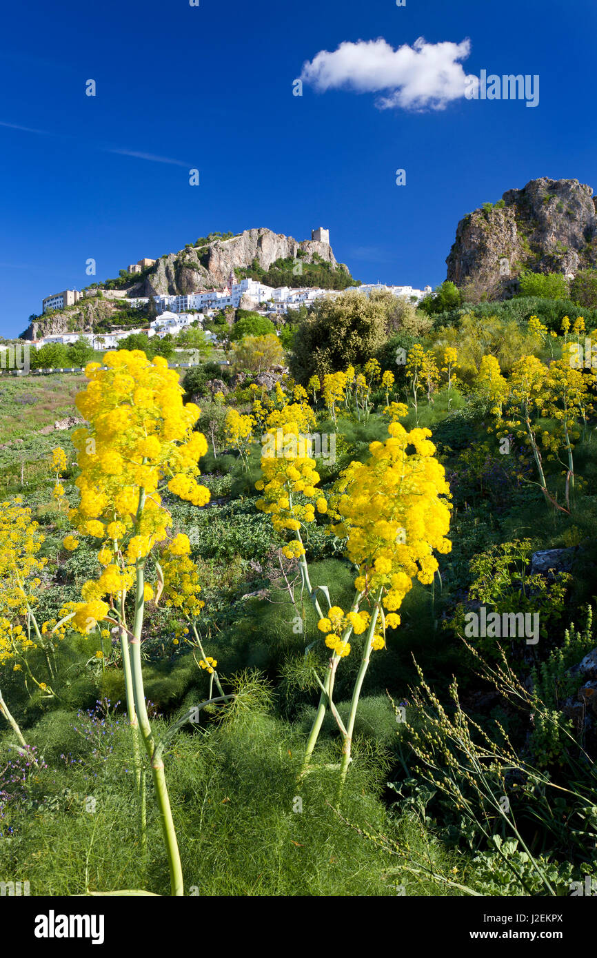 Zahara de la sierra fort hi-res stock photography and images - Alamy