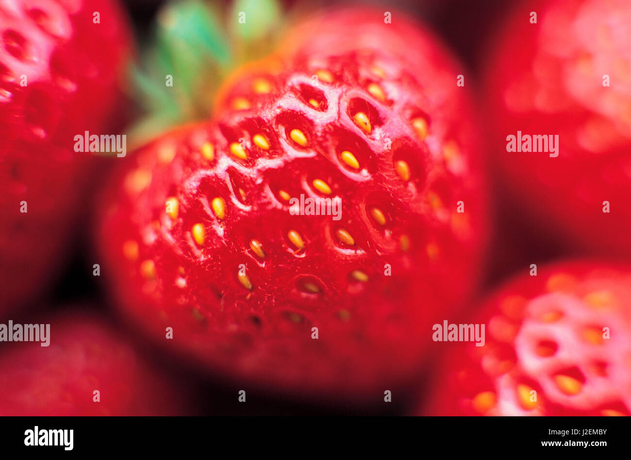 Close up of Strawberries Stock Photo - Alamy