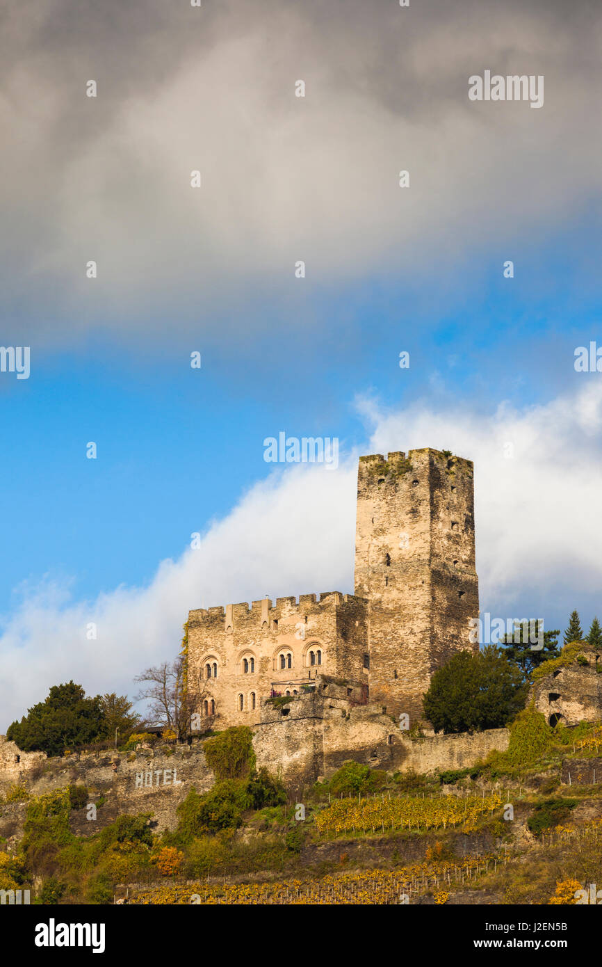 Germany, Rheinland-Pfalz, Kaub, Burg Gutenfels Castle, autumn Stock