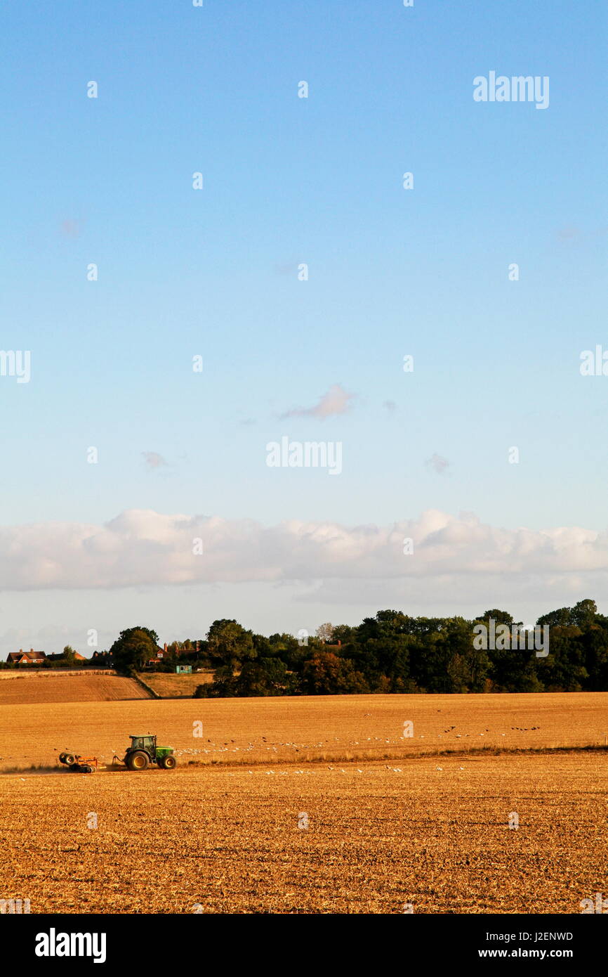 A tractor crosses a field as dusk sets in Stock Photo Alamy