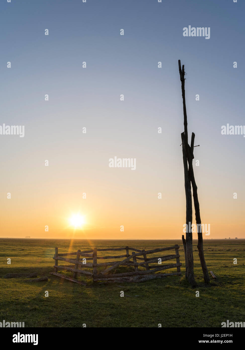 Traditional water well (well sweep or shadoof) in the Hungarian lowland plains also called Puszta in the Hotobagy National Park, which is listed as UNESCO world heritage Hungary, November (Large format sizes available) Stock Photo