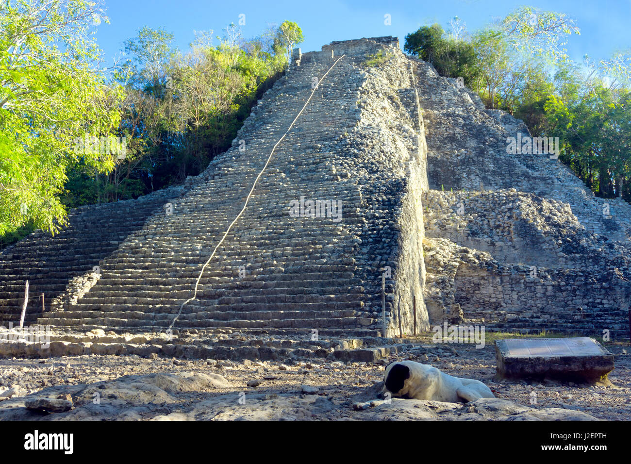 Nohoch Mul pyramid in in the Mayan ruins of Coba, Mexico Stock Photo