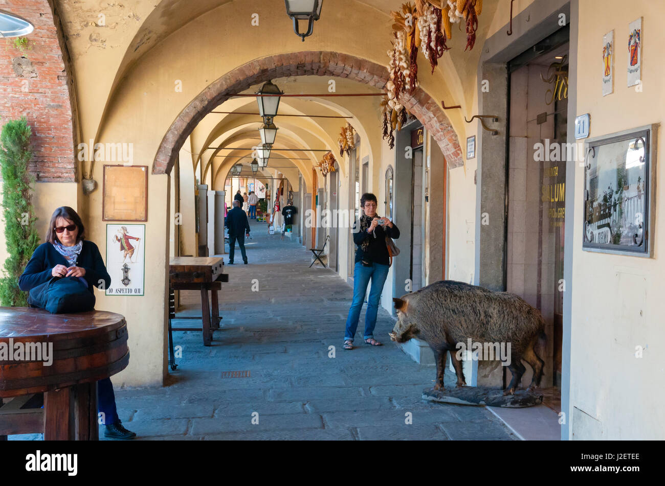 Embalmed wild boar outside a shop in Greve in Chianti, Chianti