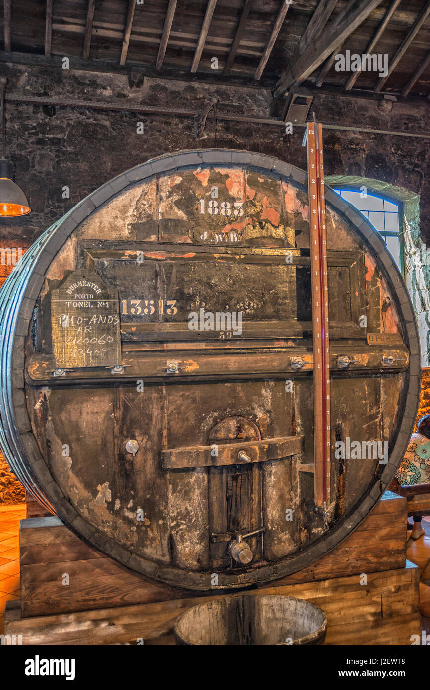 Port wine production, Burmester Cellars, Oporto, Portugal (Large format